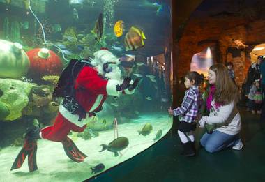 An underwater Santa Claus greets Alexis Libaste, 3, of Henderson, as her mother Ashley looks on at the Silverton Casino Hotel in Las Vegas, Nevada December 8, 2013. The underwater Santa and his helpers greet visitors and take present requests from inside the casino’s 117,000-gallon aquarium on weekends in December until Christmas.