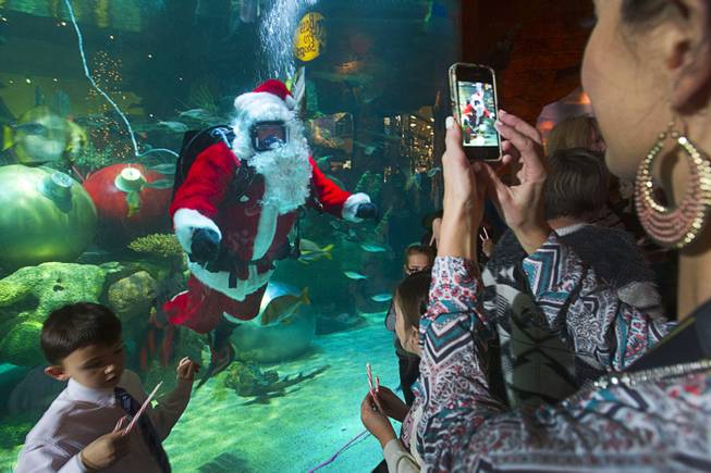 Mandi McQuivey of Las Vegas takes a photo of an underwater Santa Claus at the Silverton Casino Hotel in Las Vegas, Nevada December 8, 2013. The underwater Santa and his helpers greet visitors and take present requests from inside the casino's 117,000-gallon aquarium on weekends in December until Christmas.