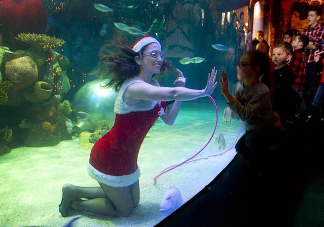 Ariana, one of Santa's helpers, reaches out to a Alisha Keysar, 7, at the Silverton Casino Hotel in Las Vegas, Nevada December 8, 2013. The underwater Santa and his helpers greet visitors and take present requests from inside the casino's 117,000-gallon aquarium on weekends in December until Christmas.