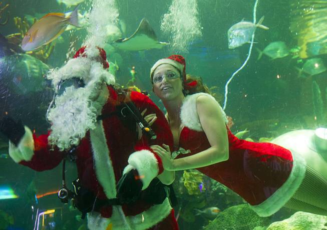 Ariana, one of Santa's helpers, poses with Santa Claus at the Silverton Casino Hotel in Las Vegas, Nevada December 8, 2013. The underwater Santa and his helpers greet visitors and take present requests from inside the casino's 117,000-gallon aquarium on weekends in December until Christmas.