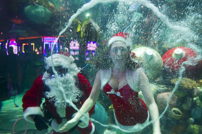 Ariana, one of Santa's helpers, makes a bubble ring at the Silverton Casino Hotel in Las Vegas, Nevada December 8, 2013. The underwater Santa and his helpers greet visitors and take present requests from inside the casino's 117,000-gallon aquarium on weekends in December until Christmas.