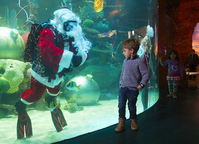 Cruz Madden, 3, of Las Vegas, looks over an underwater Santa Claus at the Silverton Casino Hotel in Las Vegas, Nevada December 8, 2013. The underwater Santa and his helpers greet visitors and take present requests from inside the casino's 117,000-gallon aquarium on weekends in December until Christmas.