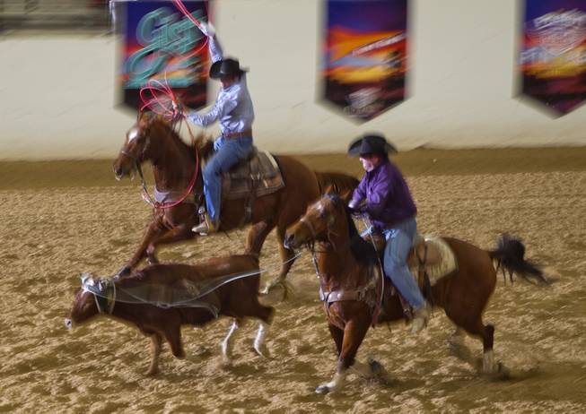 Riders Monroe Timberlake and Blain Bradley battle for a fast time during the XIII World Series of Team Roping (WSTR) Finals at the South Point Hotel Wednesday, Dec. 11, 2013.
