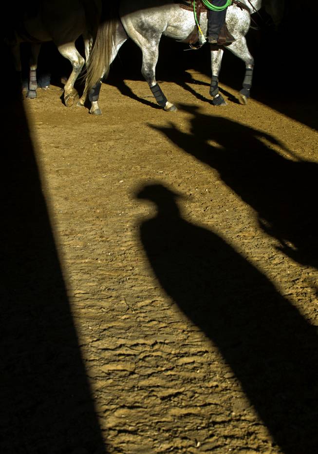 Long shadows are cast late day about the arena during the XIII World Series of Team Roping (WSTR) Finals at the South Point Hotel on Wednesday, Dec. 11, 2013.