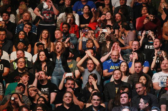 Fans cheer at UFC 168 Saturday, Dec. 28, 2013 at the MGM Grand Garden Arena.