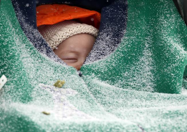 Two-month-old Jack Hsi takes a nap sheltered in his baby carrier while snow falls in Boston, Thursday, Jan. 2, 2014. Up to 14 inches of snow is forecast for the Boston area. 