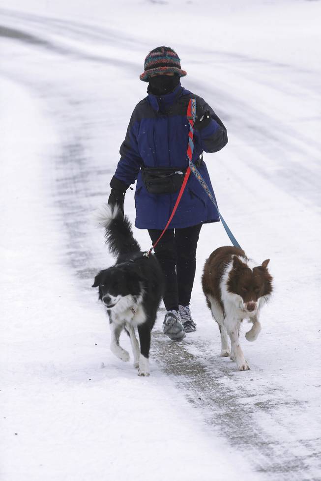 A woman walks her dogs on a snow-covered street after an over night snow storm moved through the Midwest heading for the upper Northeast, Thursday, Jan. 2, 2014, in Springfield, Ill.