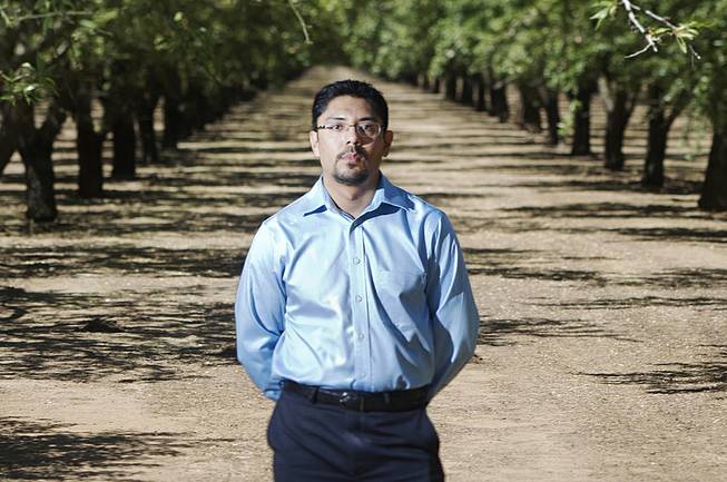 In this photo taken on June 29, 2012, Sergio Garcia poses in an almond orchard in Durham, Calif., similar to one he used to work at.