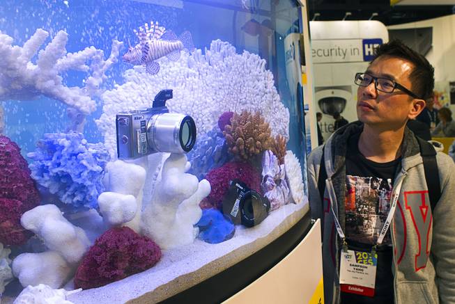 Sampson Yang looks at a waterproof Nikon 1 Aw1 at the Nikon booth during the 2014 International Consumer Electronics Show (CES) in Las Vegas, Tuesday Jan. 7, 2014. The camera retails for $800 and is available in stores.