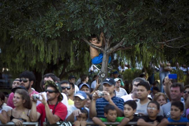 A boy climbs a tree to get a glimpse of vehicles during the symbolic start of the Dakar Rally 2014 in Rosario, Argentina, Saturday, Jan. 4, 2014. The race sets off on Jan. 5, from Rosario in Argentina and finishes in Valparaiso, Chile, on Jan. 18.