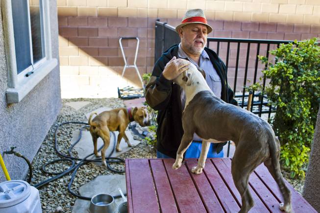 Curtis Murphy of Klean Scoop visits with a few of the many dogs he has befriended along his route on Wednesday, Jan. 15, 2014.