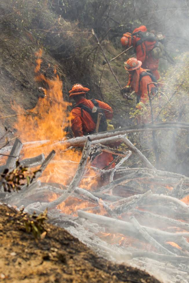 A fire crew works on a fire line as a wildfire burns just north of the San Gabriel Valley community of Glendora, Calif., on Thursday, Jan 16, 2014. 