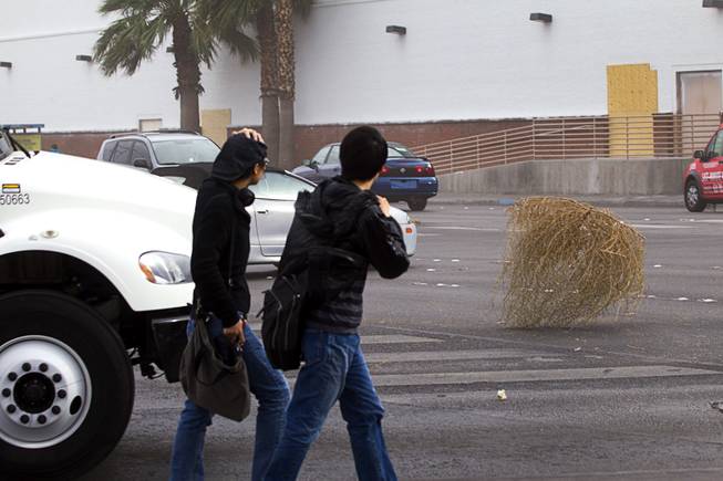 Pedestrians on Sahara Ave. and Las Vegas Blvd bear the windy weather as they cross the street Thursday, Jan. 30, 2014.
