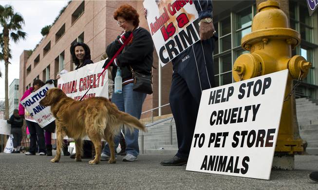 Protestors with Nevada Political Action for Animals rally outside the Clark County Justice Center prior to an appearance by Gloria Lee on Wednesday, Feb. 5, 2014.  Lee is accused of arson and animal cruelty in connection with a fire at her pet store, Prince and Princess Pet Boutique.