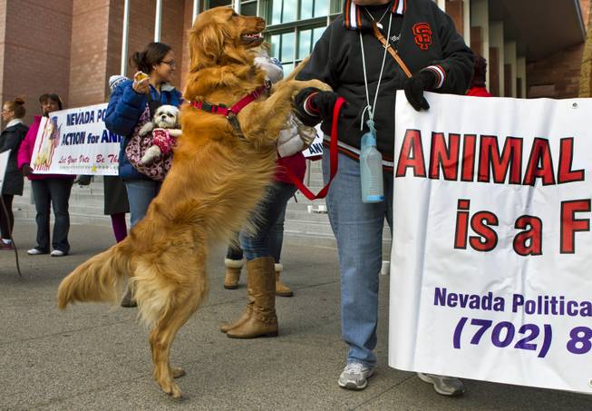 Kimberly Tulman and her dog Hannah with the Nevada Political Action for Animals protest during the rally outside the Clark County Justice Center prior to an appearance by Gloria Lee Wednesday, Feb. 5, 2014.   Lee is accused of arson and animal cruelty in connection with a fire at her pet store, Prince and Princess Pet Boutique.