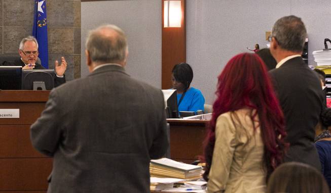 Gloria Lee accused of arson and animal cruelty in connection with a fire at her pet store, Prince and Princess Pet Boutique, is addressed by Judge Joseph Sciscento Wednesday, Feb. 5, 2014.
