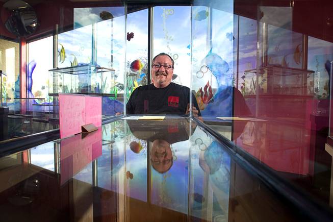 Dan Riggs, owner of Trop-Aquarium, poses in his tropical fish store at 3125 E. Tropicana Ave. Tuesday, Feb. 18, 2014. His business suffered as the shopping center went into decline but now the retail center is recovering and adding tenants.
