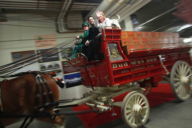 Driver Doug Bousselt and radio contest winners Alex Lozano and Toni Ramey depart the backstage stall area during an appearance of the Budweiser Clydesdales at the South Point Arena Thursday, Feb. 20, 2014.