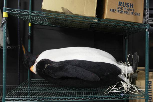 A penguin rests on a shelf in the storage area for the Bellagio's Conservatory and Botanical Gardens Feb. 28, 2014.