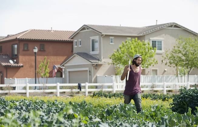 Garrett Gruninger works in a field at Agritopia in Gilbert, Ariz., March 5, 2014. A growing number of residential developments, known as agrihoods, are designed around a working farm instead of a golf course or clubhouse.