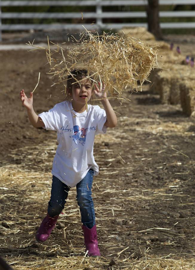 Ruth Wintill, 5 of Las Vegas tosses some hay while attending the Horses4Heroes ribbon-cutting ceremony and grand-opening event at Tule Springs on Thursday, March 06, 2014.