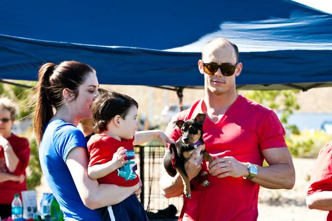 One-year-old Benjamin and his mom, Cassidy Laina, get to know five-month-old Perry held by volunteer John Macejak in the Second Chance Animal Rescue at the City of Henderson's 11 Annual Bark in the Park event at Cornerstone Park Saturday, March 8, 2014.