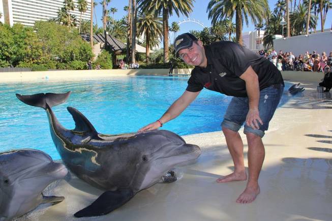 Reed Sorenson with Osborne the dolphin at Siegfried & Roy's Secret Garden and Dolphin Habitat in the Mirage.