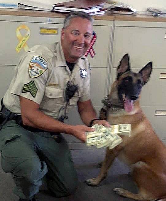 In this image released by the Humboldt County Sheriff's Department in September 2013 and posted on their Facebook page, Sgt. Lee Dove poses with K-9 Zyla and $50,000 cash that was seized after a traffic stop for speeding. 