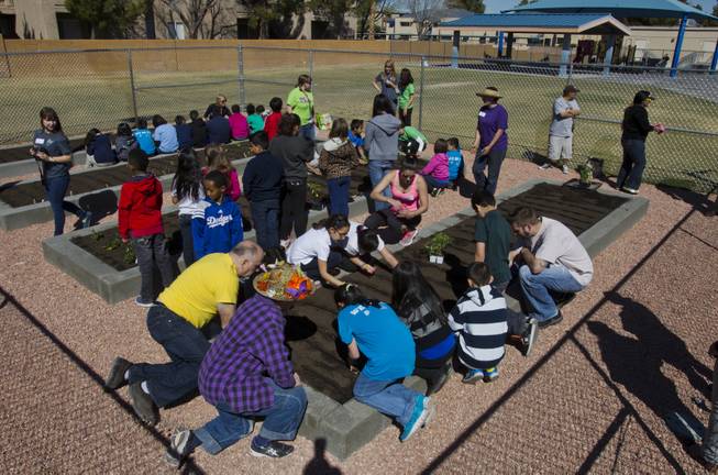 Students from Joseph E. Thiriot Elementary School together with the Create A Change Now organization and volunteers plant an edible garden on Wednesday, March 19, 2014.