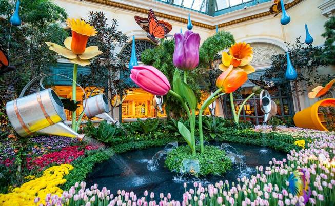 The Bellagio Conservatory & Botanical Gardens Spring 2014 display on ...