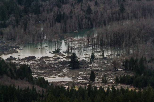 An aerial view of the Stillaguamish River and the extensive damage from the landslide, along State Route 530 between the cities of Arlington and Darrington, on Saturday, March 22, 2014. 