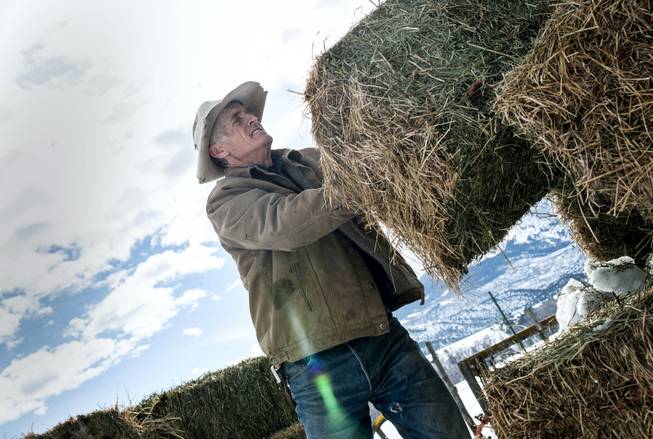 Bill Fales works on his ranch near Carbondale, Colo. Fales could use a new baler and a better irrigation system on the 700-acre ranch where he raises grass-fed beef cattle, but he scrapped those plans when he saw his new health insurance premiums. Fales said he recently saw his premiums jump 50 percent, even after telling two daughters in their 20s they’d have to get their own coverage. Fales now pays about $1,800 a month in premiums for him and his wife, both 60-year-old nonsmokers living in Carbondale.