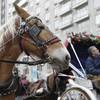 Passengers enjoy a horse-drawn carriage ride near Central Park on New Year's Eve day, Tuesday, Dec. 31, 2013, in New York.