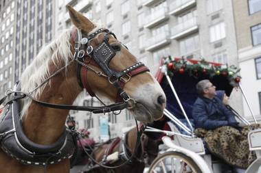 Passengers enjoy a horse-drawn carriage ride near Central Park on New Year’s Eve day, Tuesday, Dec. 31, 2013, in New York.