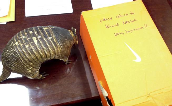 Willie Nelson's missing good luck charm armadillo sits next to the Nike shoe box it was returned in Tuesday, April 2, 2014.