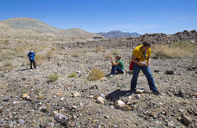 Teachers look over rocks at Barrick's Bullfrog Mine near Beatty during the 25th Annual Southern Nevada Earth Science Education Workshop Wednesday, April 16, 2014. The gold and silver mine was in operation from 1988 to 1999. The tour also included a trip the ghost town of Rhyolite. Teachers spent the first day of the workshop focused on classroom activities related to rocks and minerals.