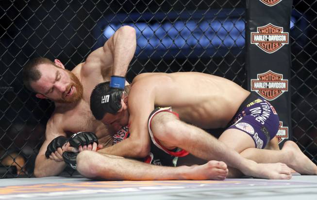 Jorge Masvidal, right, and Pat Healy fight in a mixed martial arts event on Saturday, April 19, 2014, at UFC Fight Night in Orlando, Fla. Masvidal won.