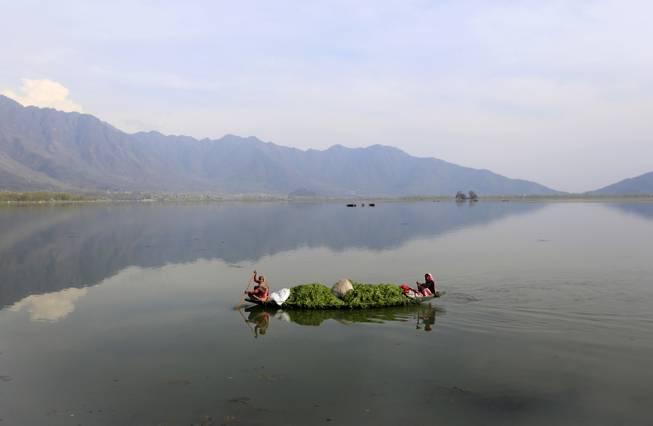 Kashmiri women row a boat filled with weed after cleaning the Dal Lake on Earth Day, on the outskirts of Srinagar, India, Tuesday, April 22, 2014. The weed-clogged Dal Lake is central to Kashmirs tourist trade and efforts are being made to rescue the lake. In the past two decades the lake has shrunk by more than half, according to environmental study reports. 