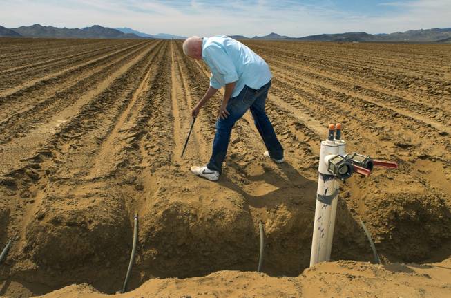 Jim Rhodes details the width apart and depth of drip irrigation lines in a field ready for planting at his new Kingman Farms outside Kingman,  Ariz., on Wednesday, April 9, 2014.
