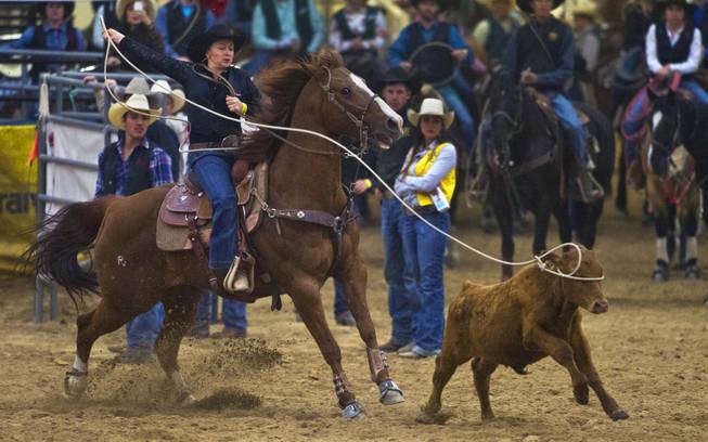 UNLV breakaway rider Tyla Treasure ropes the eyes of a calf during the West Coast Regional Finals Rodeo at South Point Arena  on Friday, April 25, 2014.