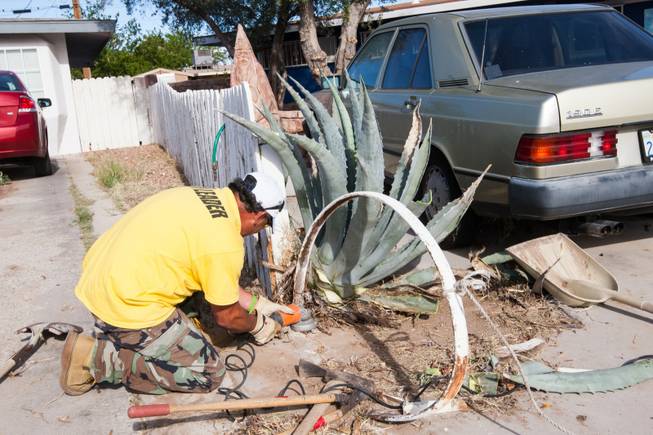 Volunteer Javier Echavarria removes a damaged iron wagon wheel at the home of former magician Gary Darwin, who lost his leg to diabetes, as part of the Rebuilding Together Southern Nevada's annual neighborhood rebuilding event in Las Vegas Saturday, April 26, 2014.