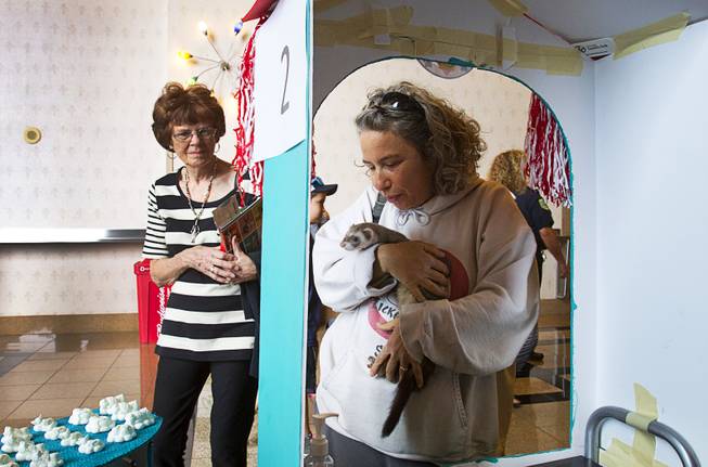 Sharon Roth holds a ferret at a "Hug-A-Ferret" display during the Animal Foundation's 11th annual Best in Show competition at the Orleans Arena Sunday, April 27, 2014. The booth was sponsored by the Paws For Friendship organization.