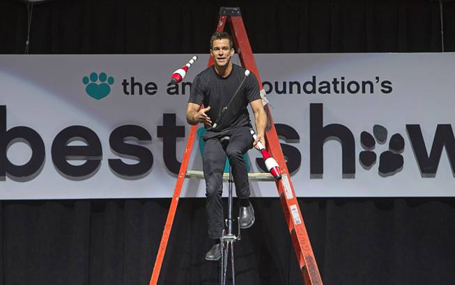 Entertainer Jeff Civillico juggles on a unicycle during the Animal Foundation's 11th annual Best in Show competition at the Orleans Arena Sunday, April 27, 2014. Civillico performs in a 4 p.m. show at the Quad.