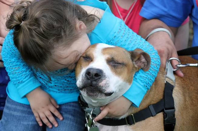 Kelsey James hugs Reckless, her dog which the Keansburg family found Thursday, May 1, 2014, at the Monmouth County SPCA, a year and a half after Reckless was lost during Superstorm Sandy.