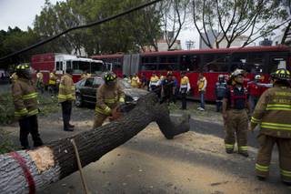 Firefighters cut apart a fallen tree that took down power lines and landed on a car, after an earthquake shook the city and sent people scurrying from office buildings, in Mexico City, Thursday, May 8, 2014.
