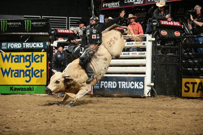 Markus Mariluch attempts to ride Dakota/Berger/Struve's Snitch during the second round of the Des Moines Built Ford Tough series PBR. Photo by Andy Watson