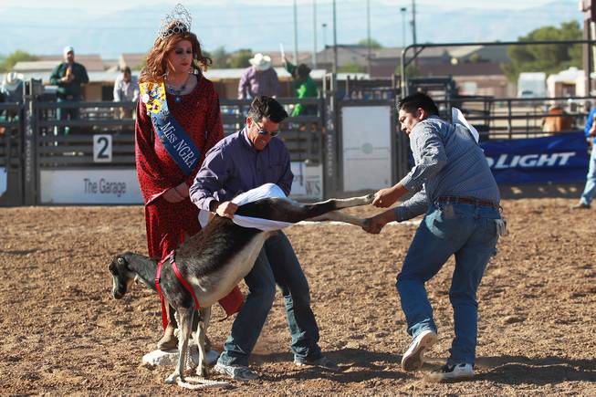 David Lawson and Greg B. take part in the goat dressing competition, in which contestants race to put a pair of underwear on a goat, during the Bighorn Rodeo Saturday, May 10, 2014. The Bighorn Rodeo is an annual event put on by the Nevada Gay Rodeo Association.