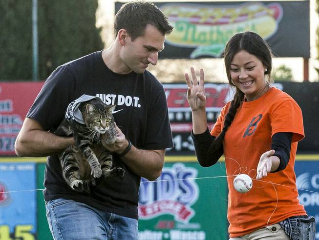 There was a failed attempt to have Tara "throw" a pitch using a baseball attached to a fishing line. Tara may have been nervous, so Ryan Triantafilo helped the cat throw the pitch as he held her at Sam Lynn Ballpark on Tuesday, May 20, 2014, in Bakersfield, Calif. 