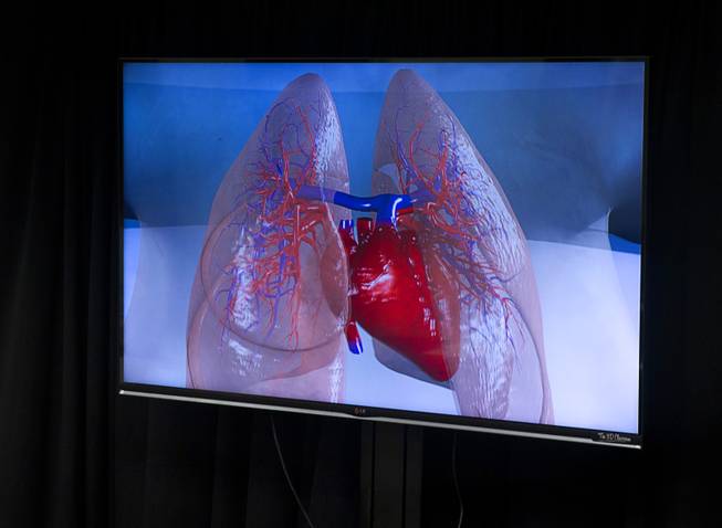 A 3D image of a heart and lungs are displayed during a demonstration of Sensavis 3D educational software in Las Vegas Wednesday, May 21, 2014. Sensavis, a Swedish education company, is promoting their "3D classroom," which allows students to interact with subjects like human anatomy, math, science and geography in a realistic virtual environment.