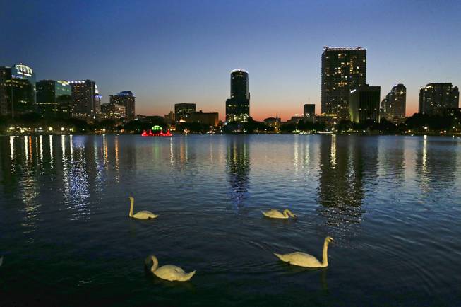 In this May 19, 2014, photo, swans swim in Lake Eola as the sun sets in Orlando, Fla. At the center of the lake is a five-decade-old, green, multi-tiered fountain that is the official icon of the city.